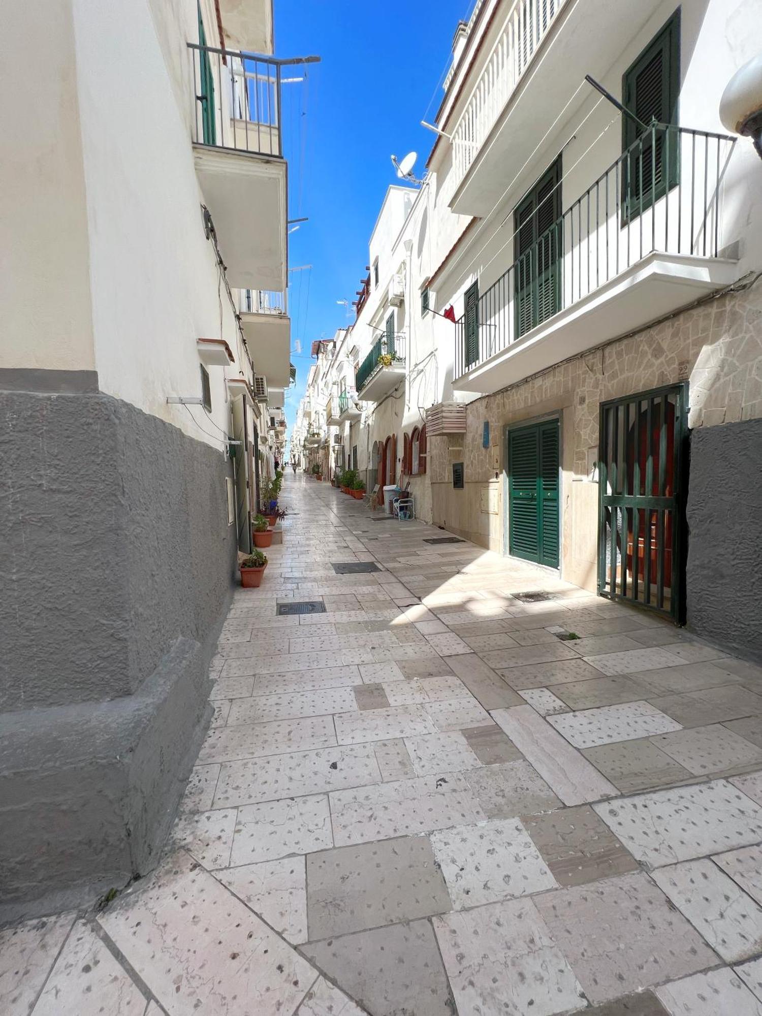 Acquasale Apartment "Altomare" Βιέστε Εξωτερικό φωτογραφία
